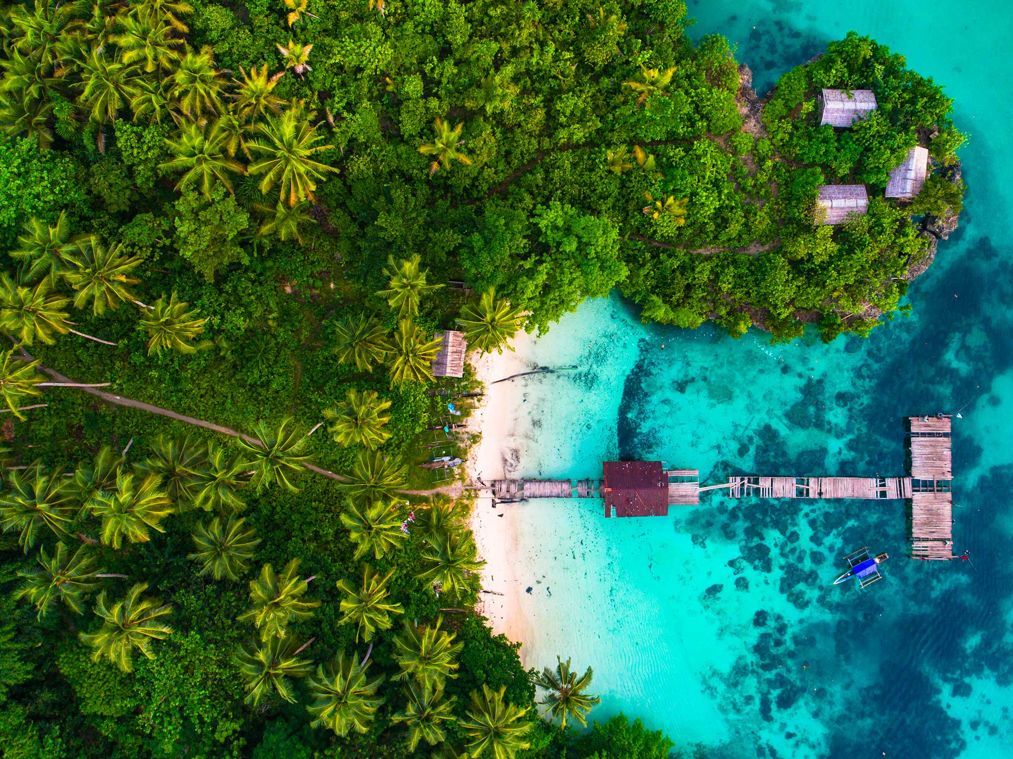  Raja Ampat, joyau indonésien 