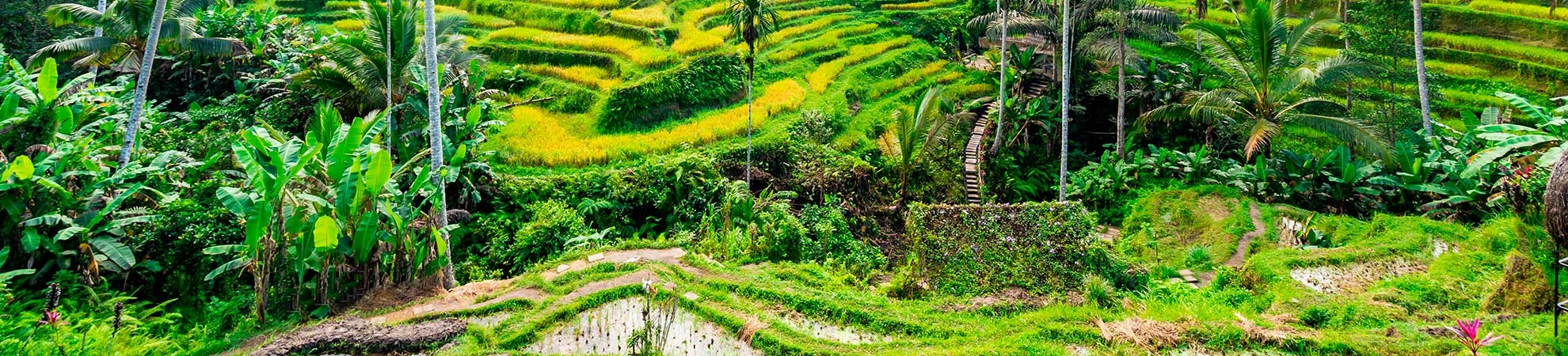 Tendance Nature