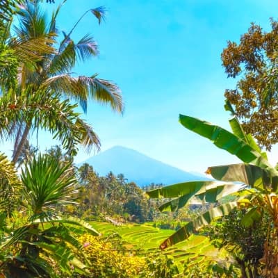 Batukaru, Jatiluwih, Bedugul et Gobleg