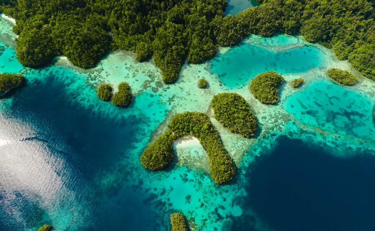 Cap sur Misool, sanctuaire marin et refuge exclusif