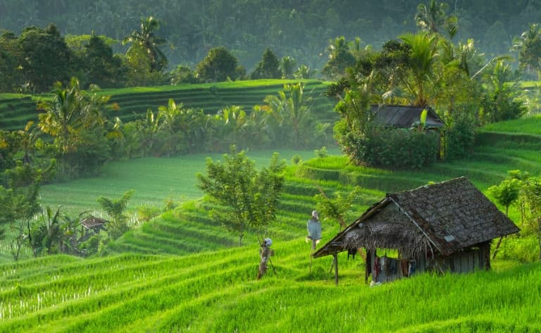 Merveilles naturelles de Bali