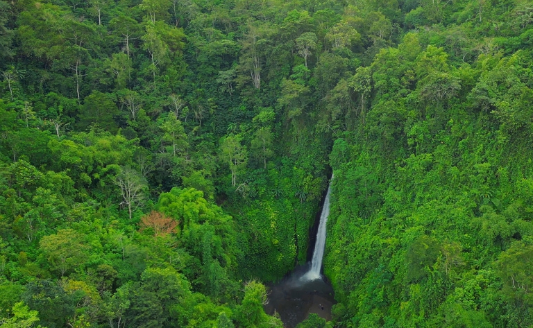 Découverte du nord de Bali : nature, temples et cascades