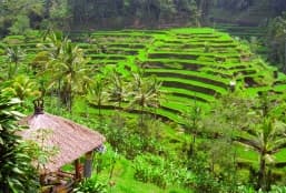 Idylle à Bali